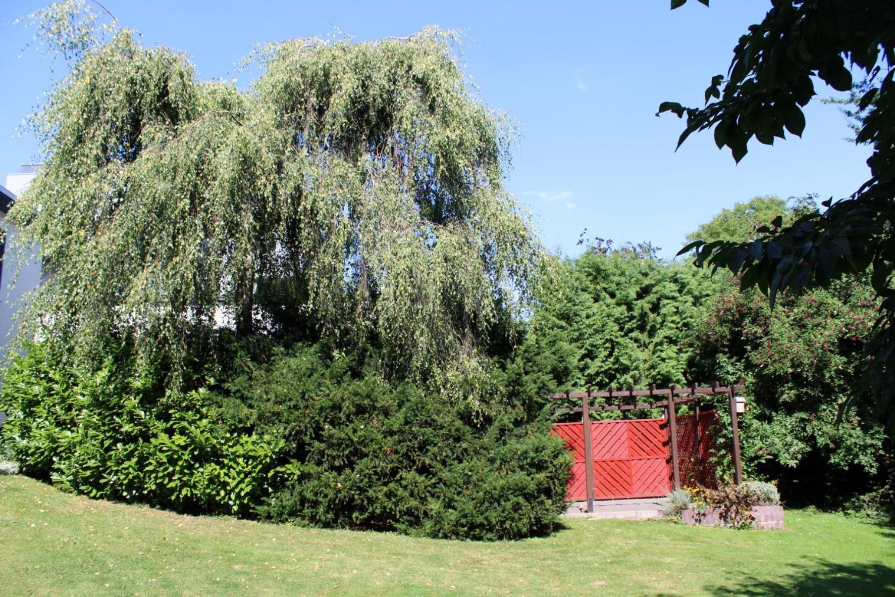 Ferienwohnung Moehneblick Mohnesee Bagian luar foto